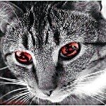 Marlon - Instagram Profile Picture of Marlon (@marlonnoelnavania17) on Instagram