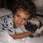Profile Picture of Suzanne Elkon Schechter (@suzy_schechter) on Instagram