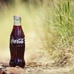 Profile Picture of Secretive Bob (@cunninglus2) on Instagram