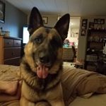 Profile Picture of Clayton Walters (@airwolf911) on Instagram