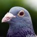 Profile Picture of Marmar Isaac (@marmar.isaac.9) on Facebook