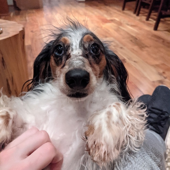 Grace Wakeling - Poshmark Profile Picture of Grace Wakeling (@clydegrace) on Poshmark