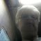 Profile Picture of Peggy Fecht (@Peggy-Fecht) on Facebook