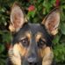 Profile Picture of Nathan Blevins (@nathan.blevins.984) on Facebook