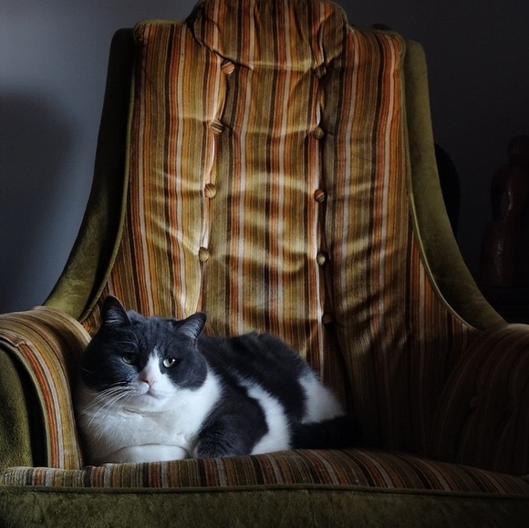 Profile Picture of Kyle Lefaive (@flavaakimbo) on Poshmark