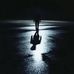 Profile Picture of Justin Lariviere (@justin.lariviere.779) on Facebook