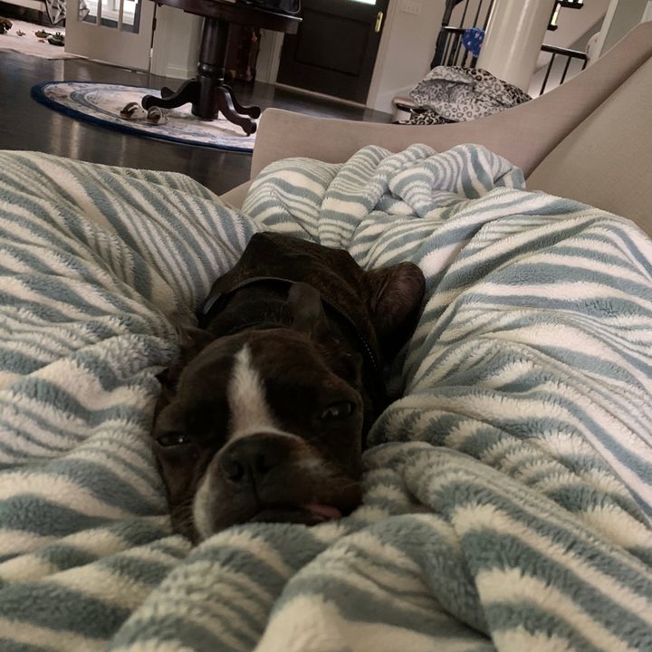 Profile Picture of Kate  wickersham (@kwickodzh78) on Tiktok