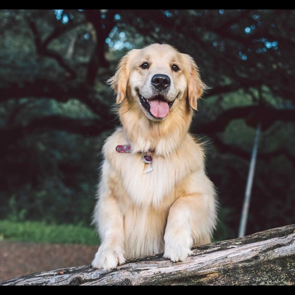 Profile Picture of Alyssa Ledbetter (@alyssaled10) on Poshmark