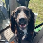 Profile Picture of Joe Castles (@joecastles19) on Instagram