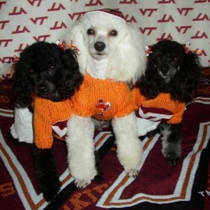 Profile Picture of Kathy Wade (@3xapups) on Myspace