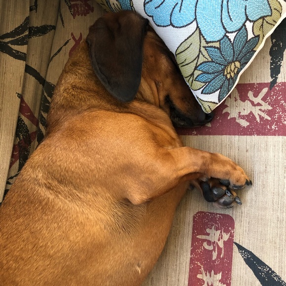 Profile Picture of Micah Price (@mhprice14) on Poshmark