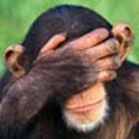 Profile Picture of Gavin Barron (@gavin-barron-8) on Quora