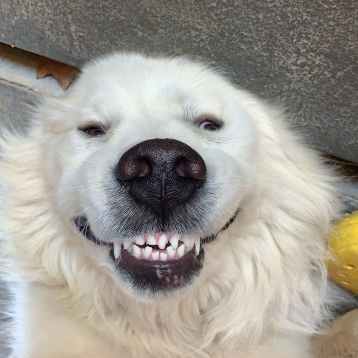 Profile Picture of Jase (@jaseschubert7) on Tiktok