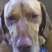 Profile Picture of Todd Hoover (@todd.hoover.752) on Facebook