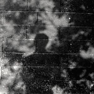 Profile Picture of Jean Claude Alfred (@jean.claude.alfred) on Myspace