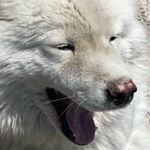 Profile Picture of 박혜준 (@mesmememms) on Instagram