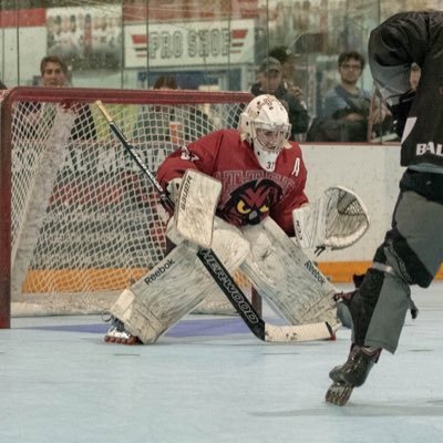 Profile Picture of Cody Baldwin (@iplaythehockeys) on Twitter