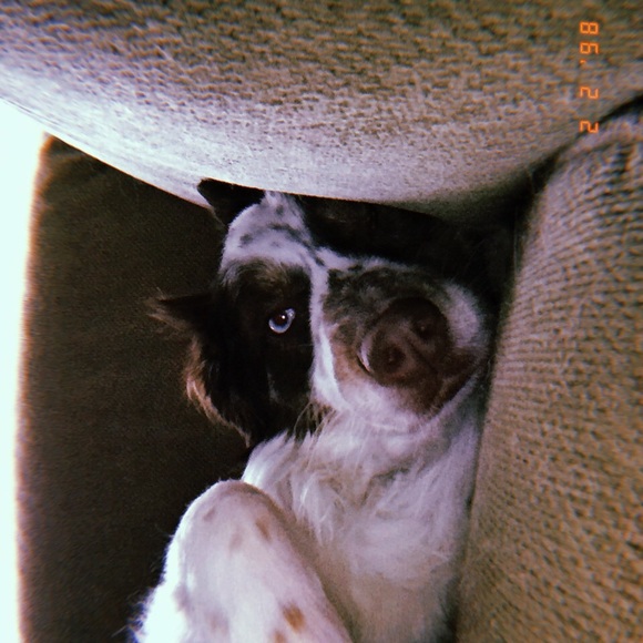 Profile Picture of Anna Tanski (@anna_tanski) on Poshmark