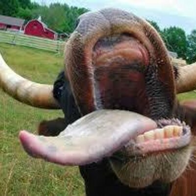 Profile Picture of Jose Antonio Cañadas (@jacobomix) on Twitter