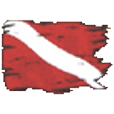 Profile Picture of Joe Diver (@DiveSpot) on Twitter