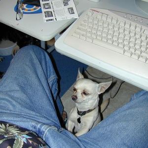 Profile Picture of Floyd Everhart (@nowitsmytime) on Myspace