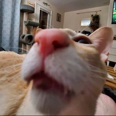 Profile Picture of Jacob (@JacobWashburn20) on Twitter