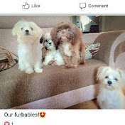 Profile Picture of Alex Velasco (@alexvelasco6244) on Youtube