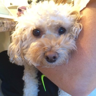 Profile Picture of Clint Pierce (@Clintpierce5) on Twitter