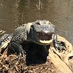 Profile Picture of David Porterfield (@porterfield199) on Instagram