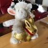 Profile Picture of Thomas Beyer (@@gdpute) on Tiktok