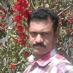 Profile Picture of Anilkumar Pillai (@anilkumar_pillai) on Instagram