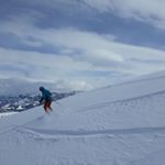 Profile Picture of Paul Cerullo (@paulcerullo) on Instagram