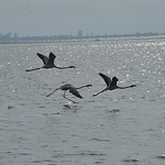 Profile Picture of Philippe Sanson (@madmaxsanson1) on Flickr