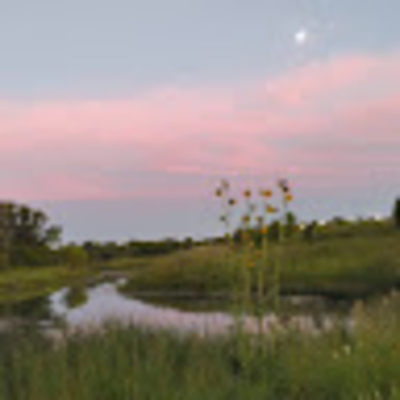 Profile Picture of Bella Kohlmann (@bellakohlmann) on Poshmark