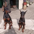 Profile Picture of Marko Heuschkel (@marko.heuschkel) on Facebook