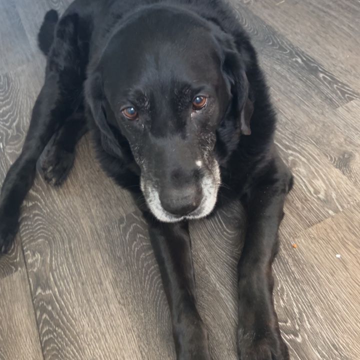 Profile Picture of Hoopesie13 (@michael_hoopes) on Tiktok