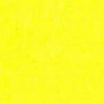 Profile Picture of Seth Bauer (@yg.goated_) on Instagram