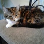 wesley champ - Instagram Profile Picture of wesley champ (@champ_wesley) on Instagram