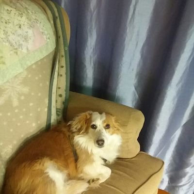 Profile Picture of Joseph Auchter (@AuchterJoseph) on Twitter