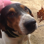 Profile Picture of jasmine barron (@jasminebarron109) on Flickr