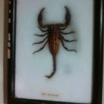 Profile Picture of Dixie Johnson (@dixie.johnson.77398) on Instagram