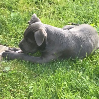 Profile Picture of David Nunley (@DavidNunley12) on Twitter