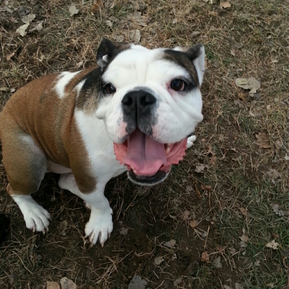 Profile Picture of Josie Schwartz (@josie86) on Poshmark