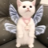 Profile Picture of Аннэтта 🫶😼 (@annett.rbx) on Tiktok