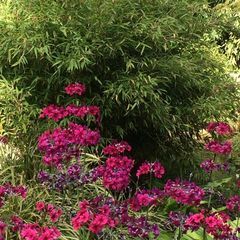 Profile Picture of andreagalley (@andreagalley) on Tiktok