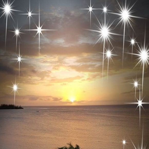 Profile Picture of Cindy Schares (@cmschares) on Poshmark