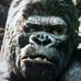 Profile Picture of John Bridenbaugh (@john.bridenbaugh.1) on Facebook