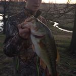 Profile Picture of Lane Andrew Conner (@laneconner_fishing) on Instagram
