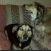 Profile Picture of Nancy Faircloth Carstens (@nancy.carstens) on Facebook