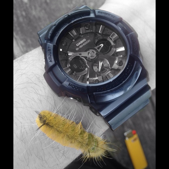 Profile Picture of Preciosa Bearshield (@mizzrodgers09) on Poshmark